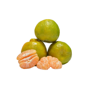 orange india