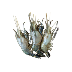 galda