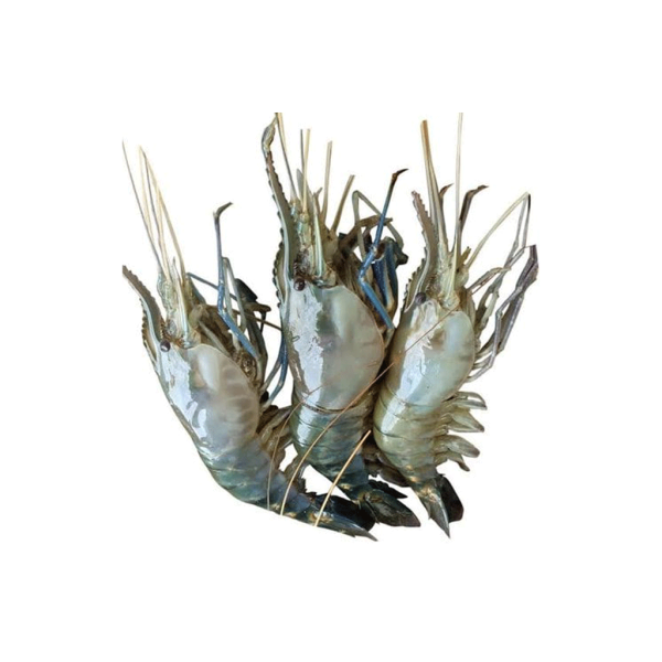 galda